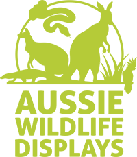 Aussie Wildlife Displays